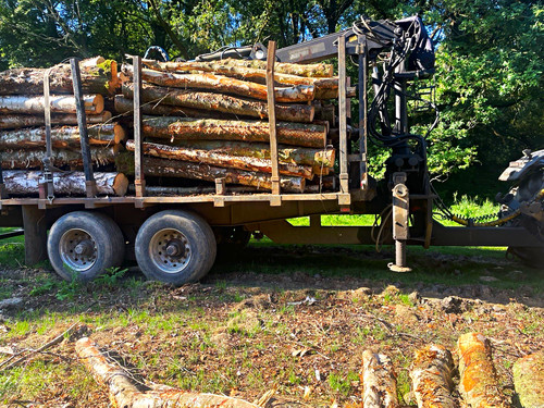 Timber flatbed trailer - 6, m