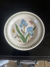 Portmerion Botanic Garden Iris