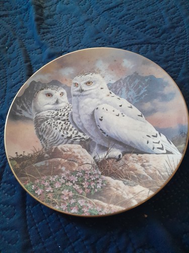 Royal doulton british owl - royal,