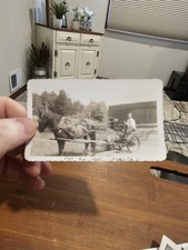 Vintage Photo Snapshot Horse