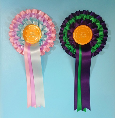 Tier rosettes best - x2,
