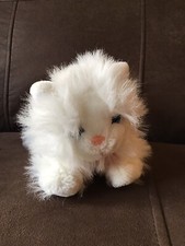 2009 Tesco Fluffy White Laying