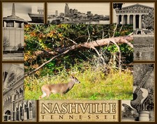 Nashville Tennessee Montage