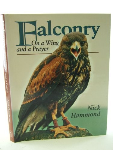 Falconry wing and - falconry:, a