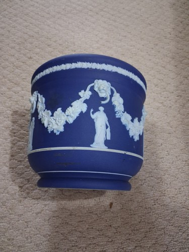 Wedgwood dipped blue plant - plant, pot