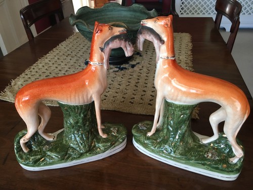 Staffordshire whippets with - staffordshire,