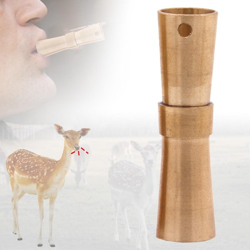 Deer calls muntjac whistle - calls,