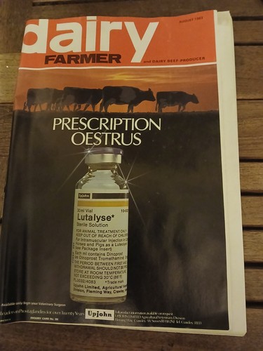August 1983 dairy farmer - dairy,