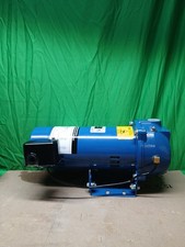 Everbilt 1 HP Professional