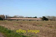 Photo 6x4 Chicken Sheds Stubbing's Green Chickens seem more profitable th c2007