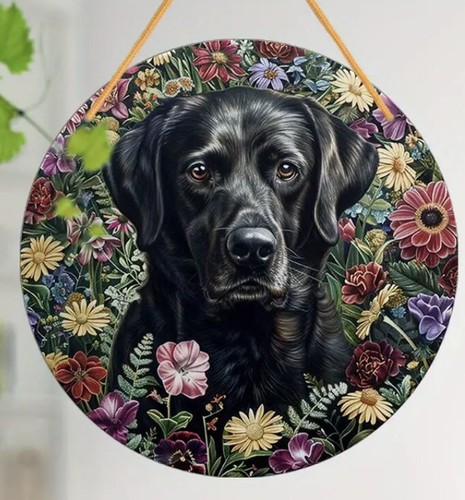 Labrador dog black lover - labrador, large