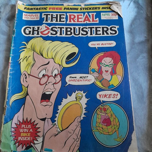 The real ghostbusters 15 - the, #15
