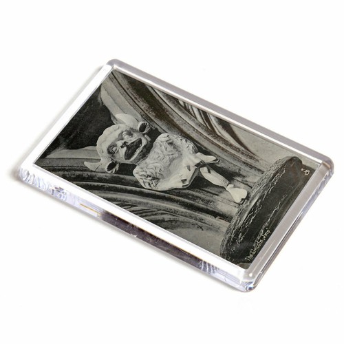 Fridge magnet vintage - fridge,