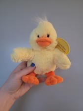 Card Factory Chick Duck Soft