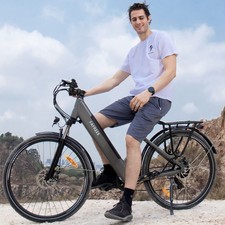 Fafrees 27.5" Electric Bike