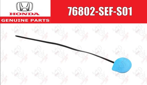 Honda oem front - oem, water