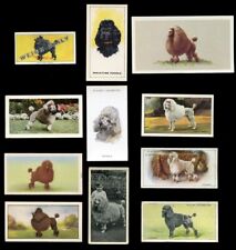 POODLE FRENCH DOG VINTAGE CIGARETTE & TRADE CARDS - x 11 all original
