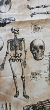 Bundle Of Craft Cotton Fabric Skeletons anatomy 2 Pieces Glow In The Dark