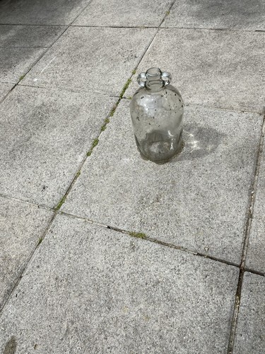 Used demijohns 1gallon - demijohns,