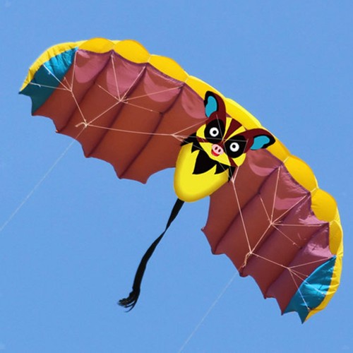 Bat kite beach - bat,