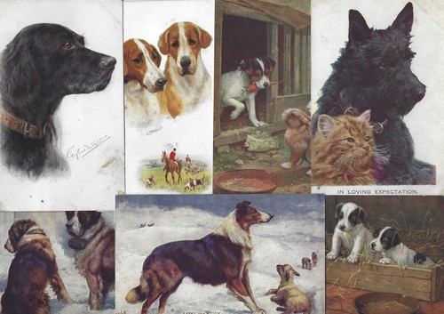 Various dog themed postcards - various,