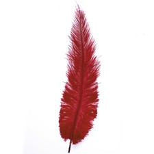 Ostrich Feathers - Burgundy