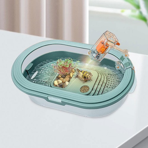 Turtles tank aquarium feeding - tank,