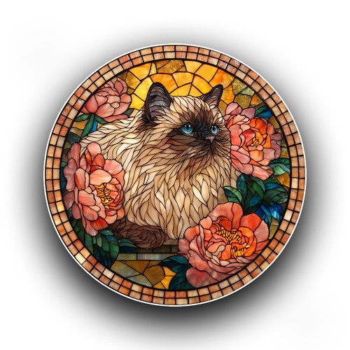 Himalayan cat peony flowers - cat,