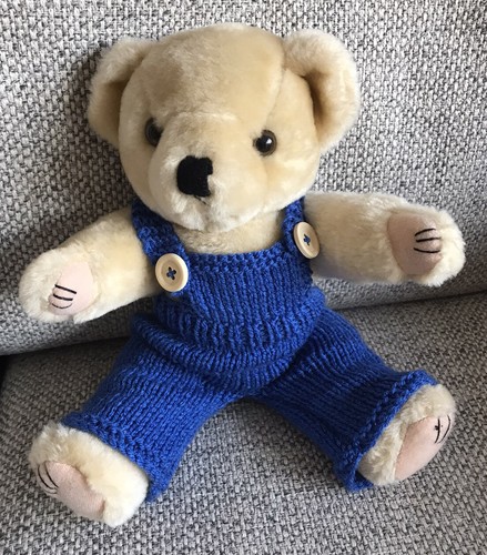 New teddy bear - teddy,