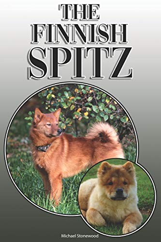The finnish spitz a - the,