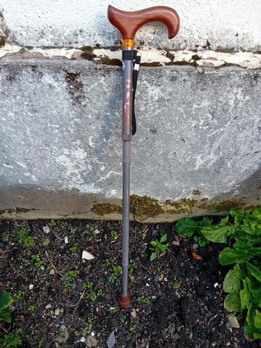 Adjustable walking stick - a,