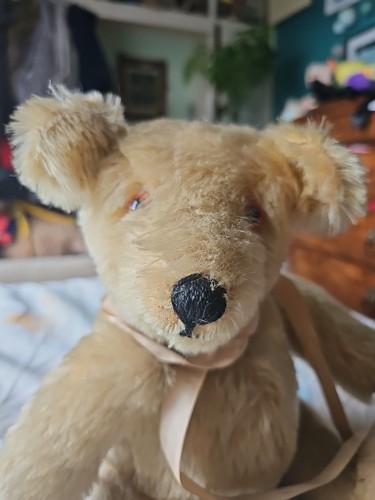 The old fashioned teddy bear - old,