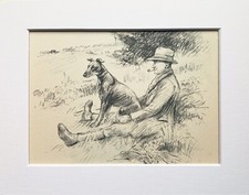 Greyhound dog vintage sketch
