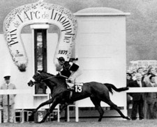 Horse Racing Mill Reef 1971