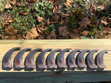 Ten Large 3"  Bear Claws (10)