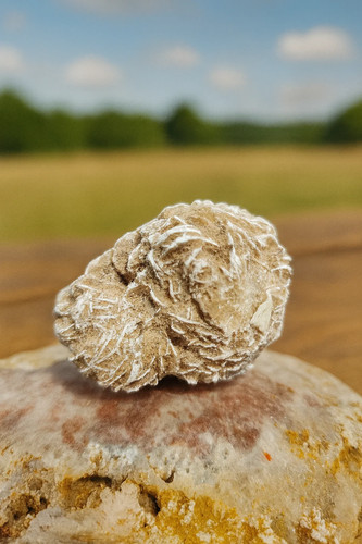 Natural desert rose - natural,