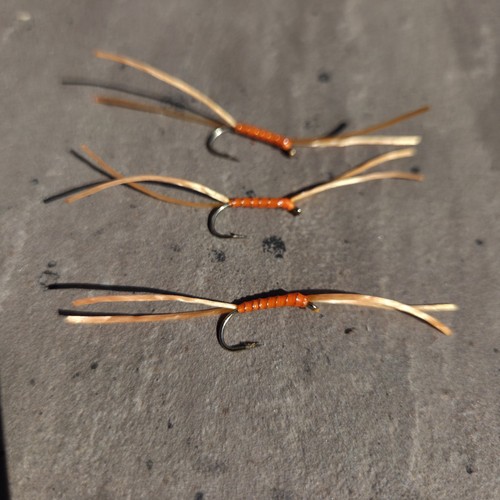 Worms fly fishing - worms,