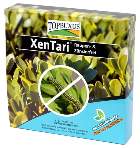 Topbuxus xentari boxwood - xentari,