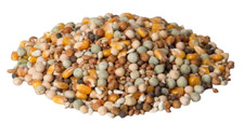 Pigeon mix high performance - high,