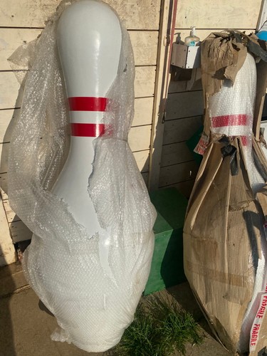 Extremely large 5ft - large,