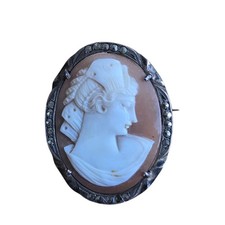 Antique Carved Shell Cameo of