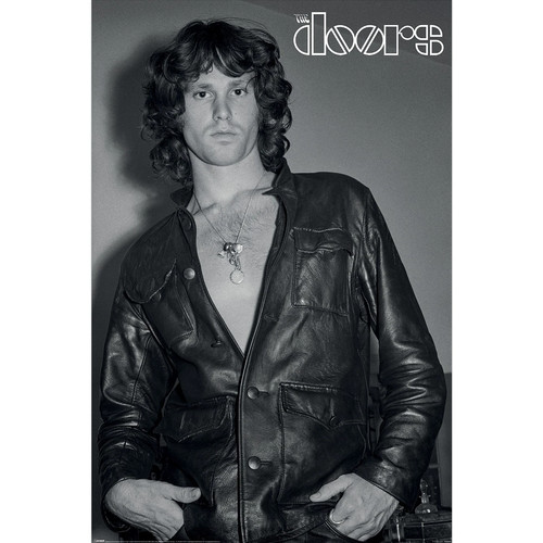 The doors jim morrison - the,