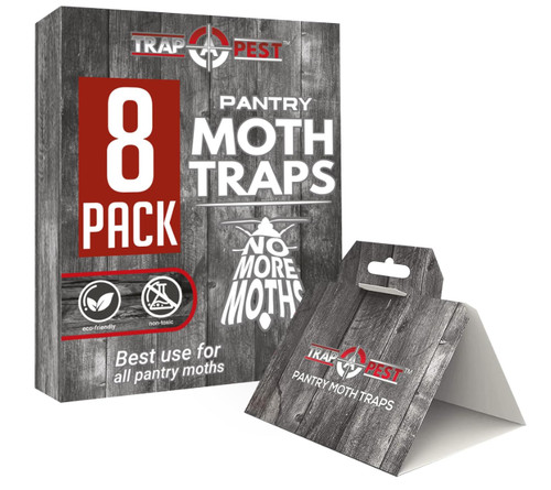 Pantry moth traps safe glue - moth,