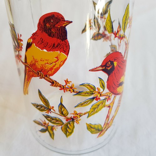 Jay bird print glass - , jug