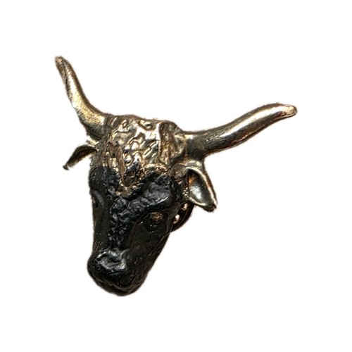 Vintage longhorn steer head - longhorn,