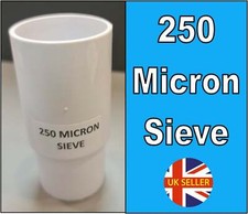250 MICRON COPEPOD ZOOPLANKTON