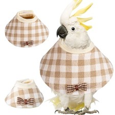 Bird Elizabethan Collar