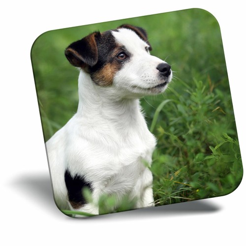 Awesome fridge magnet jack - awesome,