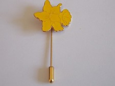 Marie Curie stick pin badge