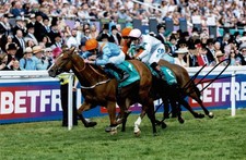 Horse Racing Jockey Clifford